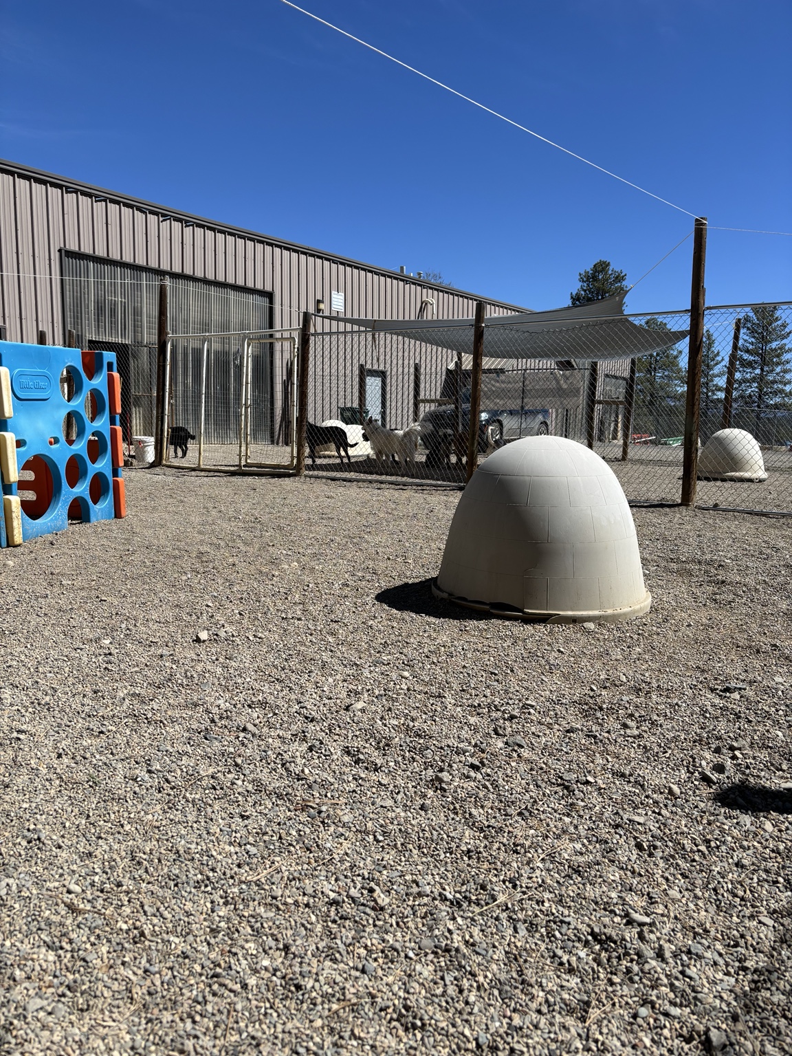 Secure shaded outdoor yards at 81147 Doggy Day Care