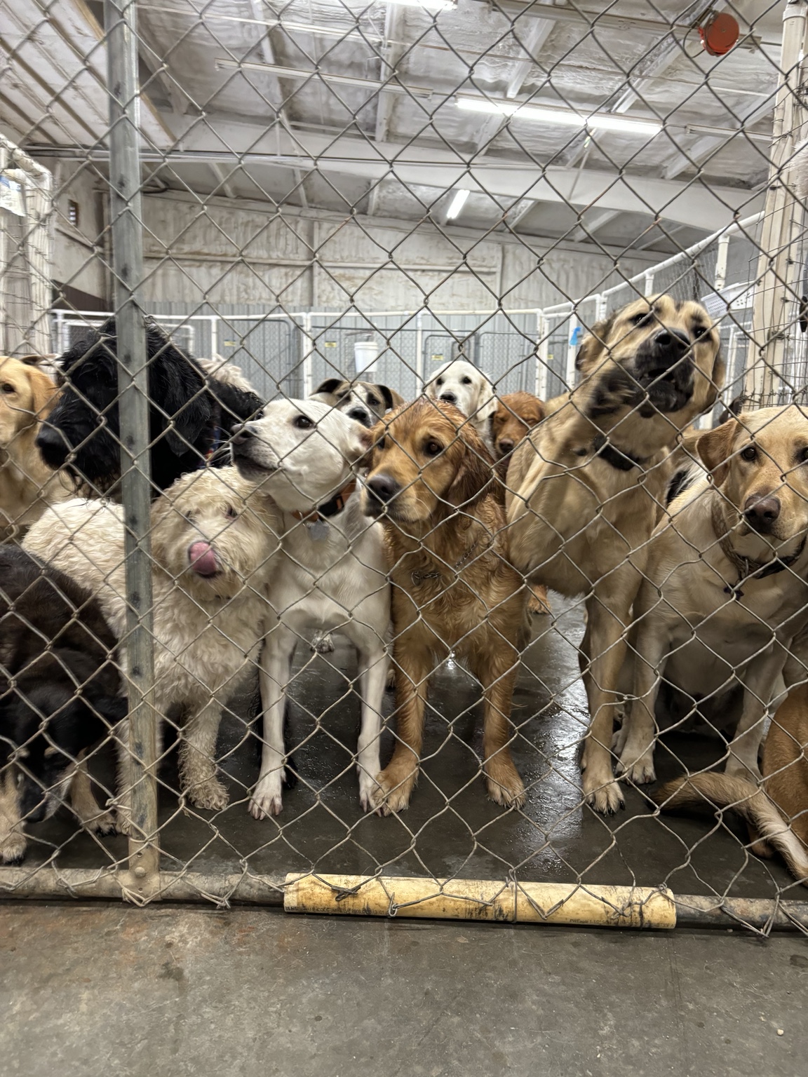 Happy faces
