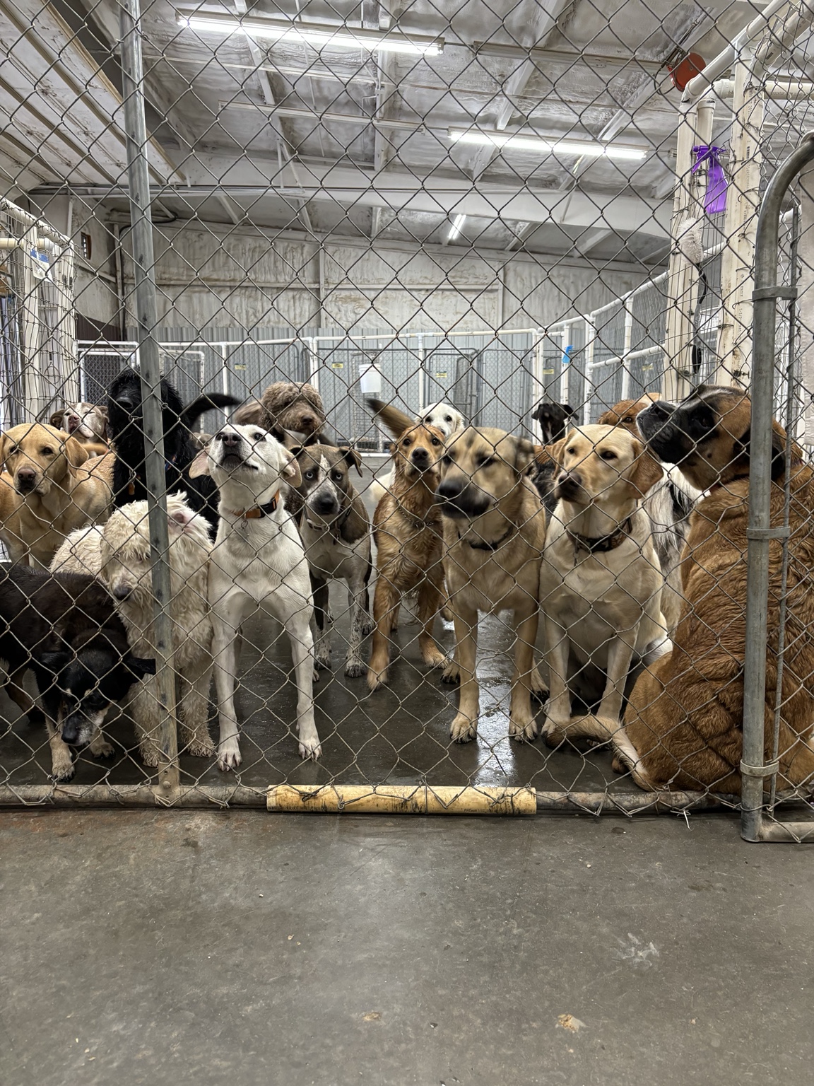 Friends at daycare