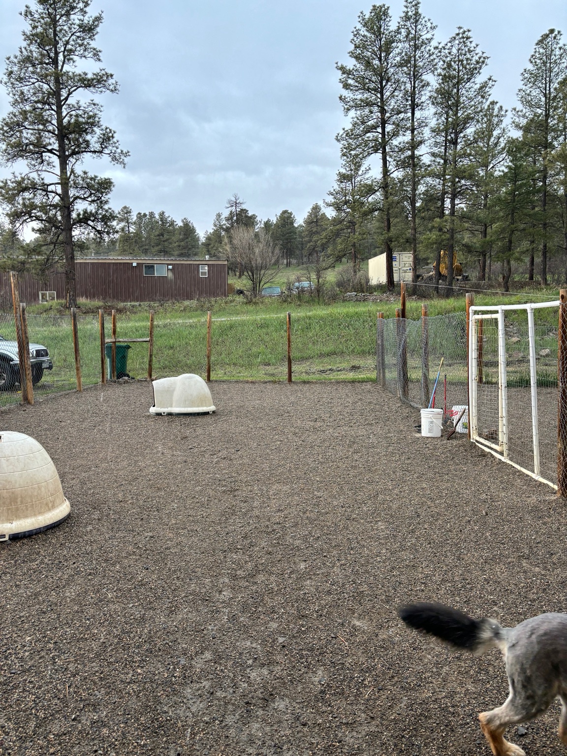 Fresh Pagosa air